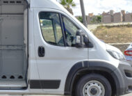 FIAT DUCATO CARGO VAN 2023