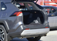 TOYOTA RAV4 ADVENTURE 2020