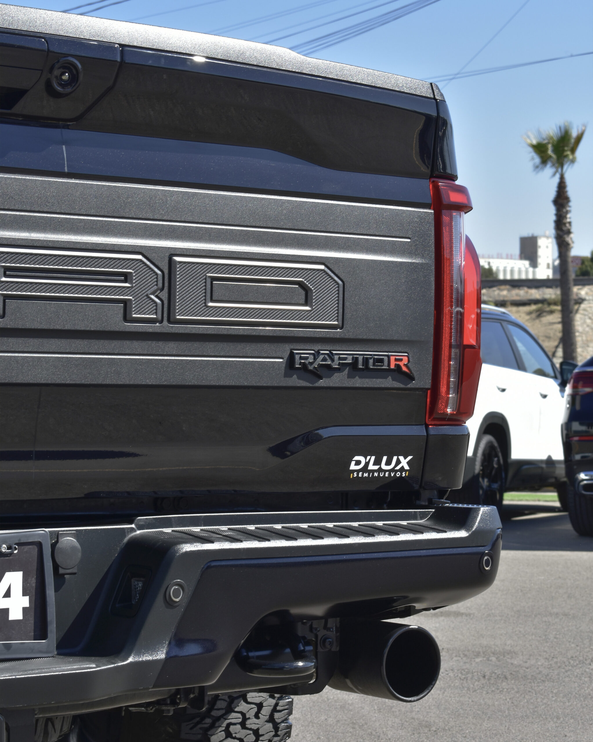 FORD LOBO RAPTOR HIGH PERFORMANCE 2024